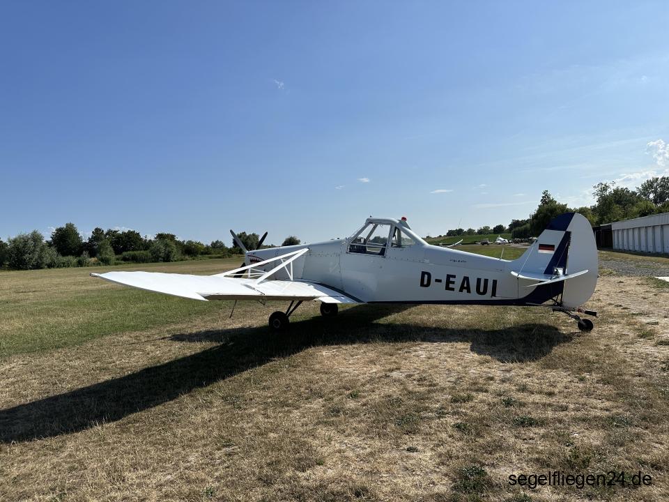 Piper PA-25 "Pawnee" (260 PS, Motor überholt, Propeller neu) - 2/3